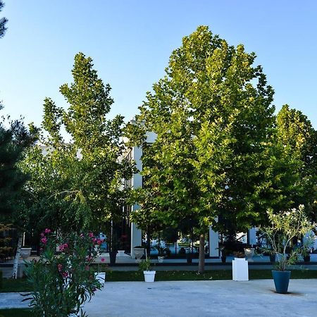 NiMesecev Konak住宿加早餐旅馆 外观 照片