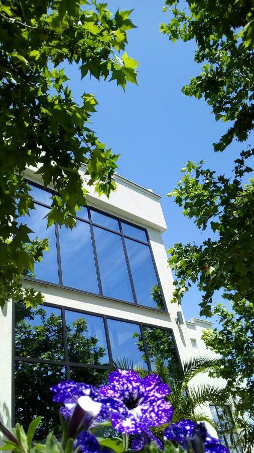 NiMesecev Konak住宿加早餐旅馆 外观 照片