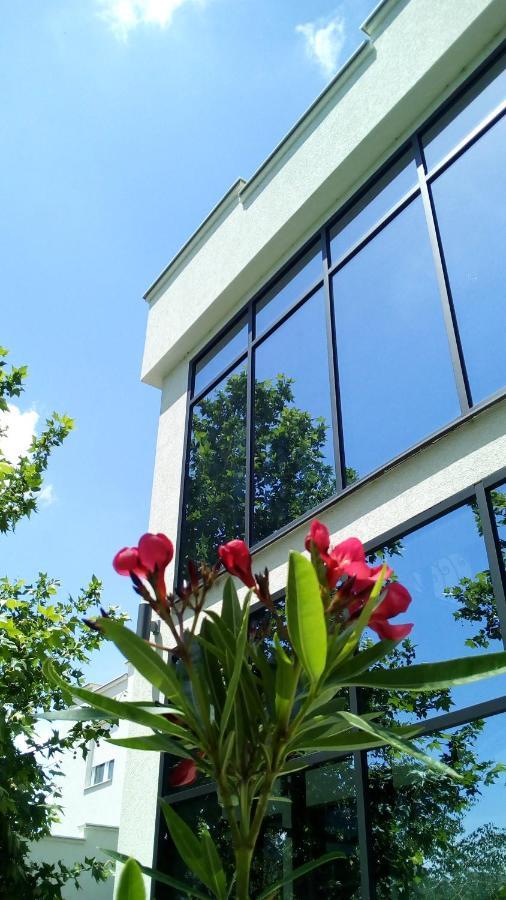 NiMesecev Konak住宿加早餐旅馆 外观 照片